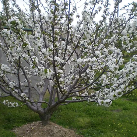 Hotel Rural Xerete 4*