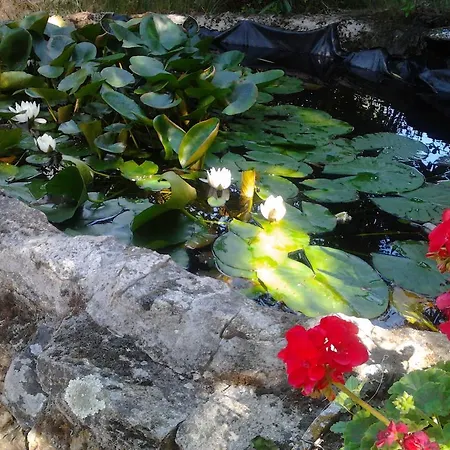 ホテル Rural Xerete ナバコンセホ