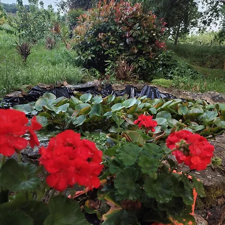 Rural Xerete Navaconcejo