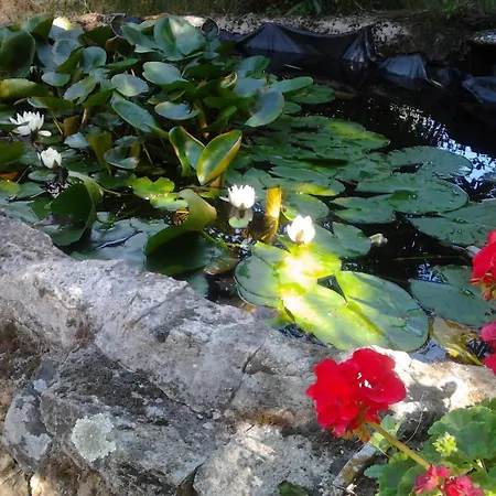 Rural Xerete Hotel Navaconcejo